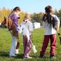 Tootiny Koń na kiju Hobby Horse HOPPIHORSE A4 Chestnut - brąz, maść kasztanowata
