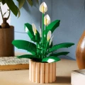 LEGO Klocki Botanicals 11504 Skrzydłokwiat