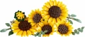LEGO Klocki Botanicals 11502 Bukiet słoneczników