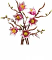 LEGO Klocki Botanicals 11510 Gałązki magnolii